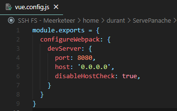 vue.config.js with an additional line to disable the host check Content of a vue.config.js file set to disable host check